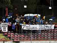 FOTBAL - FC DINAMO BUCURESTI - FC VIITORUL CONSTANTA