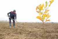 MARASESTI - START CAMPANIE PLANTARE - PARCUL MEMORIEI NATIONALE