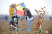 MARASESTI - START CAMPANIE PLANTARE - PARCUL MEMORIEI NATIONALE