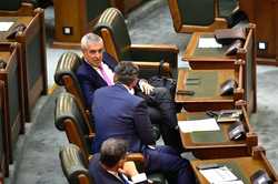 SENAT - DEZBATERE - MOTIUNE SIMPLA