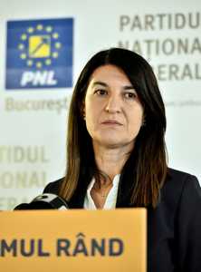 BUCURESTI - CONFERINTA PRESA - VIOLETA ALEXANDRU