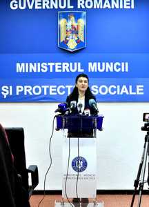 BUCURESTI - CONFERINTA PRESA - VIOLETA ALEXANDRU