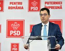 BUCURESTI - CONFERINTA DE PRESA - STEFAN-RADU OPREA