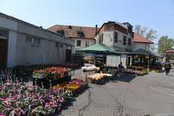 BUCURESTI - PIATA DE FLORI &#039;GEORGE COSBUC&#039;