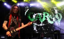 TIMISOARA - CONCERT - CARGO