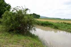 COMUNA HUDESTI - INUNDATII