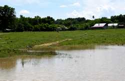 JUDETUL BOTOSANI - INUNDATII - RAUL PRUT