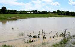 JUDETUL BOTOSANI - INUNDATII - RAUL PRUT