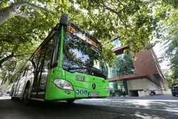 BUCURESTI - PUNERE IN CIRCULATIE - AUTOBUZE HIBRID MERCEDES CITARO