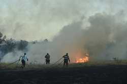 BUCURESTI - INCENDIU DE VEGETATIE USCATA