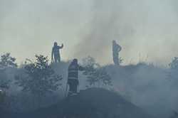 BUCURESTI - INCENDIU DE VEGETATIE USCATA