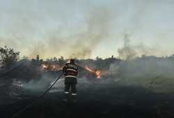 BUCURESTI - INCENDIU DE VEGETATIE USCATA