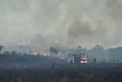 BUCURESTI - INCENDIU DE VEGETATIE USCATA