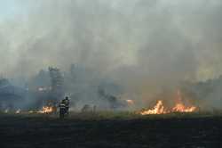 BUCURESTI - INCENDIU DE VEGETATIE USCATA