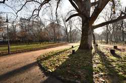 BUCURESTI - PARC CISMIGIU