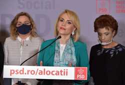 BUCURESTI - CONFERINTA DE PRESA - GABRIELA FIREA