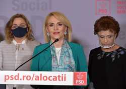 BUCURESTI - CONFERINTA DE PRESA - GABRIELA FIREA