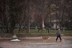 BUCURESTI - VIATA COTIDIANA - PARC CISMIGIU