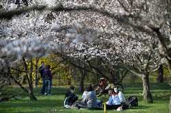 BUCURESTI - PARCUL HERASTRAU - GRADINA JAPONEZA