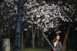 BUCURESTI - PARCUL HERASTRAU - GRADINA JAPONEZA