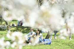 BUCURESTI - PARCUL HERASTRAU - GRADINA JAPONEZA