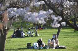 BUCURESTI - PARCUL HERASTRAU - GRADINA JAPONEZA