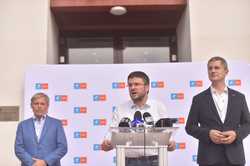 BUCURESTI - REUNIUNE - COMITETUL POLITIC USR PLUS