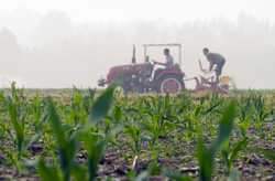 CHINASUMMERFARMING CN