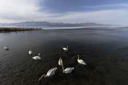 CHINAXINJIANGSAYRAM LAKESCENERY CN