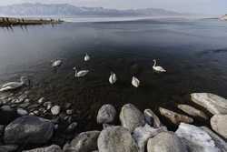 CHINAXINJIANGSAYRAM LAKESCENERY CN