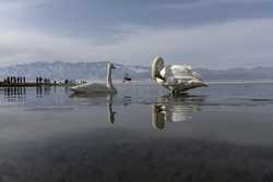 CHINAXINJIANGSAYRAM LAKESCENERY CN