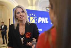 BUCURESTI - PNL - DECLARATII PRESA