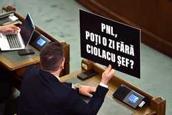 SENAT - SEDINTA IN PLEN