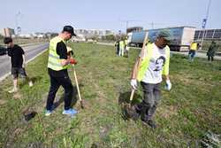 BUCURESTI - EVENIMENT - PLANTARE ARBORI - PADURE URBANA