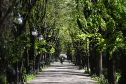 BUCURESTI - PARCUL CISMIGIU