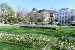 BUCURESTI - PARCUL CISMIGIU