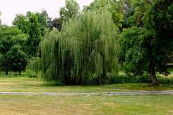 CRAIOVA - PARCUL &#039;NICOLAE ROMANESCU&#039;