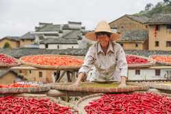 CHINAFARMERS HARVEST FESTIVAL CN