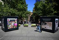 AUSTRALIA LINDT CAFE SIEGE ANNIVERSARY