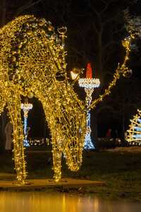 POLAND CHRISTMAS ILLUMINATION