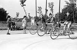 PARCUL HERASTRAU - 1954