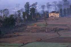 NEPAL DAILY LIFE