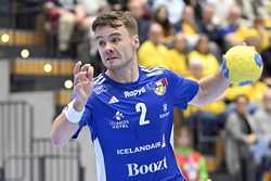 SWEDEN HANDBALL