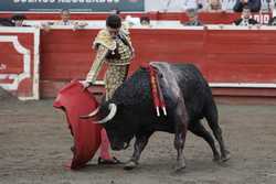 COLOMBIA BULLFIGHTING