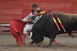 COLOMBIA BULLFIGHTING