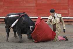 COLOMBIA BULLFIGHTING