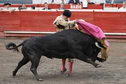 COLOMBIA BULLFIGHTING