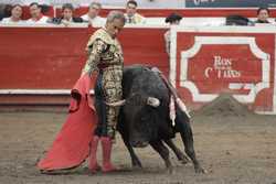 COLOMBIA BULLFIGHTING