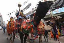 INDIA KUMBH MELA