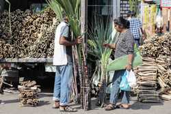 SRI LANKA TRADITION PONGAL FESTIVAL